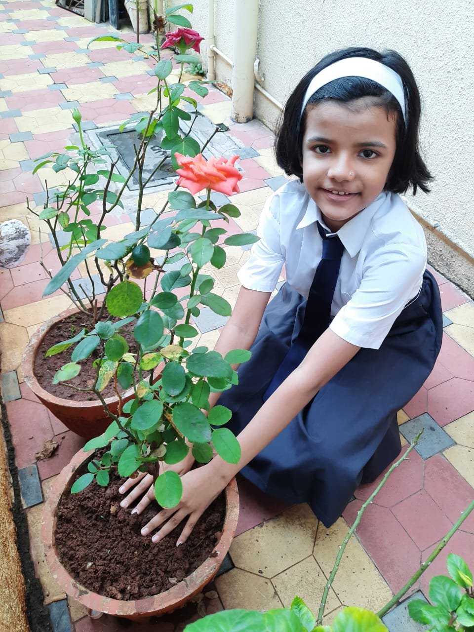 Activity image
